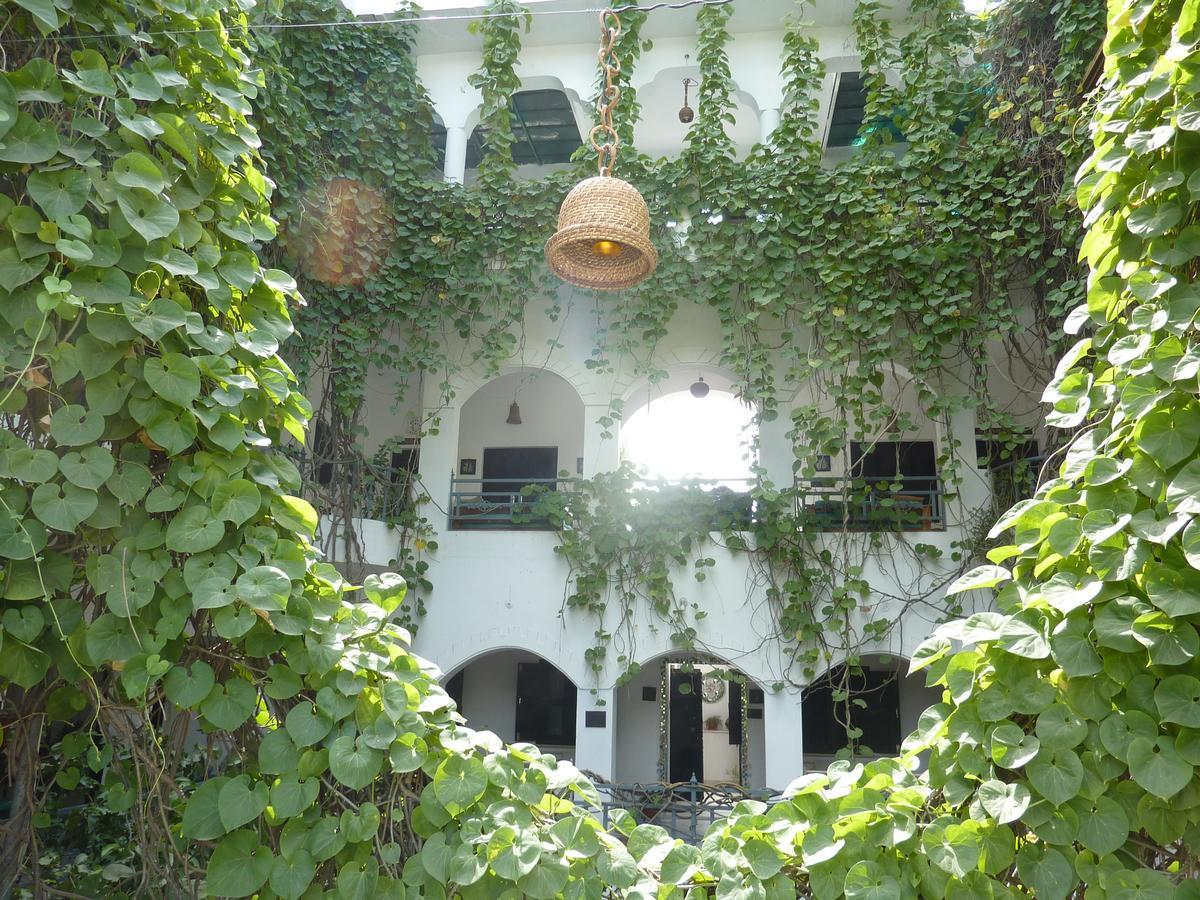 Inn Seventh Heaven Pushkar Ngoại thất bức ảnh